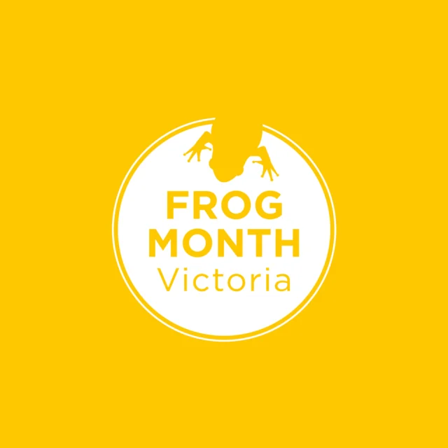 Don't forget our frog webinar this Wednesday night from 6–7 pm! Join us to hear the results from FrogTober, learn how to take part in our next monitoring month in April, and discover the autumn frogs we'll be focusing on. Link to sign up in bio.