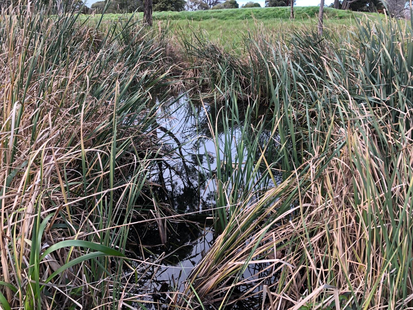 upstream into hidden pond