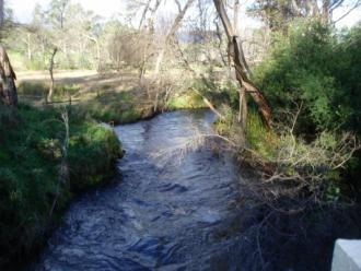 Upstream