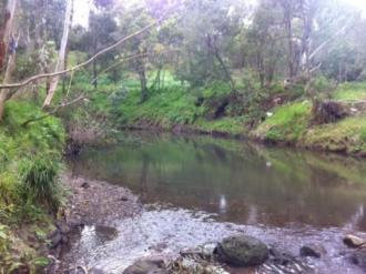 Upstream of Dog Ford monitoring site.