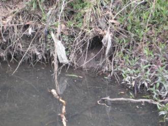 Photo of the hole in the bank at YDI 838