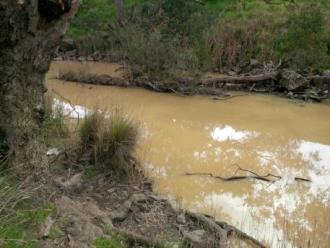 Sugarloaf Creek looking upstream - note turbidity - unusually high (150 NTU)