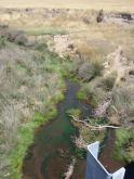 MOE 070 Green slime downstream from bridge