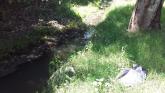 Stony Creek Yarraville, ME_MSO660, downstream