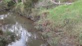 Dandenong Creek low for this time of year. Photo of north side of the bridge