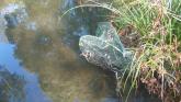 Example of 'opera house' net I found today in river @ Apex park - nil contents.