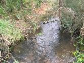 Upstream photo