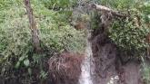Newest small instream below dry vegetation may cause more erosion with heavy rain forecast