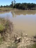 First wetland pond near bird hide