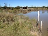 First pond depth gauge, near inlet to wetlands, looking towards bird hide
