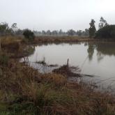 Wetlands back to normal depth