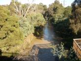 Merri Creek, Blyth St downstream