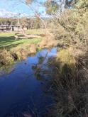 5 Mile Creek Reserve Downstream