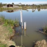 Low water level in the wetland but better than before