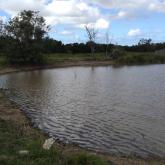 Wetland inlet lake after dredging and bank clearing