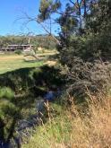 5 Mile Creek @ Reserve, Downstream