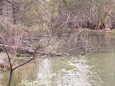 Murray River Billabong Mildura