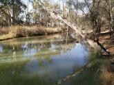 Upstream - Murray River Mildura