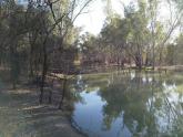 Downstream,  Murray River, Mildura