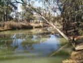 Upstream,  Murray River, Mildura