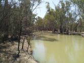Downstream, Murray River near Sandilong Creek, Riverside Golf Club, Mildura