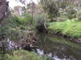 creek at point drain meetingpoint