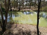 Murray River, Mildura. Site