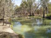 Murray River, Mildura. Downstream