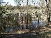 Kings Billabong, Murray River, Mildura