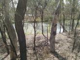 Site photo, Murray River, Mildura