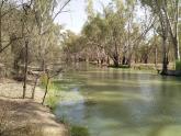 Downstream, Murray River, Mildura