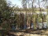 Kings Billabong, Murray River Mildura