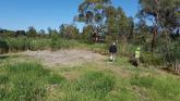 Clearing done at the deep pool at the drain entry to the wetlands