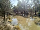 Murray River Off shoot Downstream