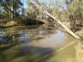 Murray River Off shoot Upstream