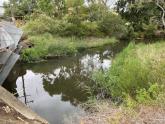 Photos taken upstream of Edgars Creek