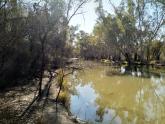 Tributary of Murray River, Mildura, Upstream