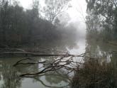 Sandilong Creek, Mildura