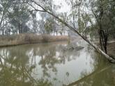 Upstream, Murray River, Mildura