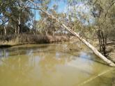 Upstream, Billabong, Murray River, Mildura