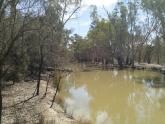 Down Stream, Billabong, Murray River, Mildura