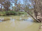Murray River, Mildura, Down Stream