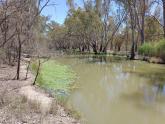 Murray River, Mildura, Up Stream