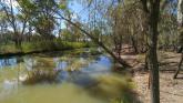 Upstream, Sandilong Creek inflow, Murray river, Mildura