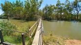 Regulator, Kings Billabong, Murray River, Mildura
