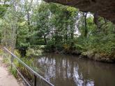 Five Mile Creek Childrens' Park Upstream