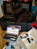 Sassy fits purrfectly into my Testkit box : )