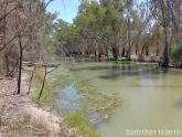 Downstream, Creek off Murray River near Riverside Golf Club, Mildura