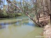 Upstream, Creek off Murray River near Riverside Golf Club, Mildura