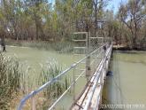 Water Regulator, Kings Billabong, ex Murray River, Mildura